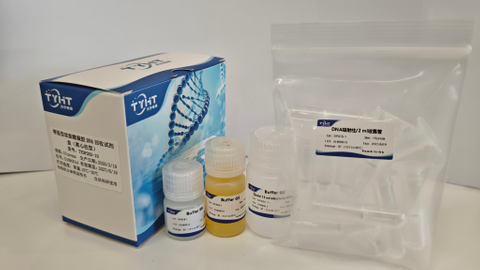 增强型琼脂糖凝胶DNA回收试剂盒（离心柱型）