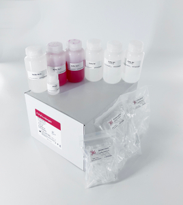 UElandy DNA凝胶回收试剂盒